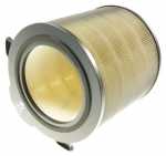 Air Vent - 9009229742 Efdbth4 Pollen Protect Filter [Electrolux Aeg]