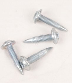 Screw - 4055973616 Kit Screws Door 4pcs [Electrolux Aeg]